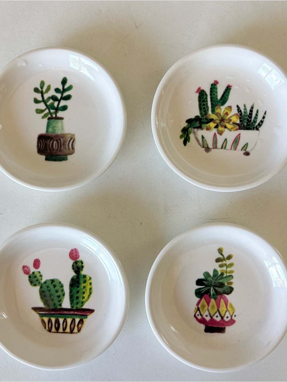 Tomato Mustard Sauce Plate Cactus Set of 4 Creative Co-Op by Artist Lori Siebert